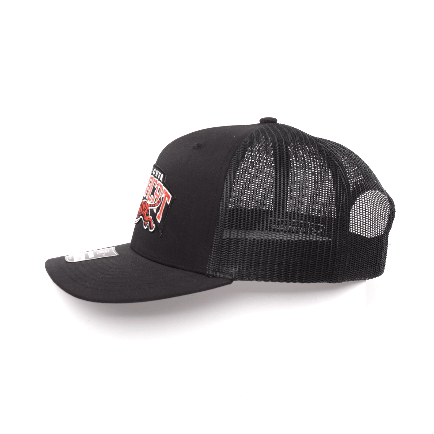 China Cat / Cincinatti Football Inspired Richardson 112 Patch Hat